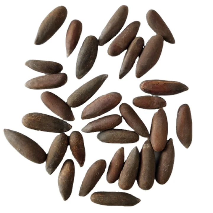 2022 crop Top Grade Pine Nuts Available for Sale/Pine Nuts Wholesale