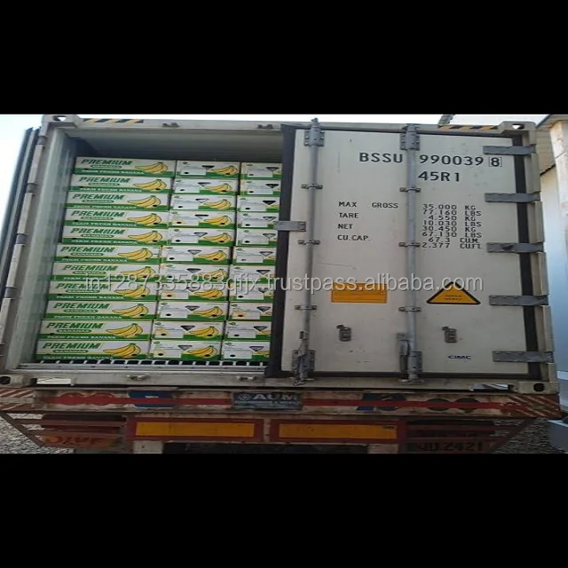 Fresh Cavendish Banana Available For Export