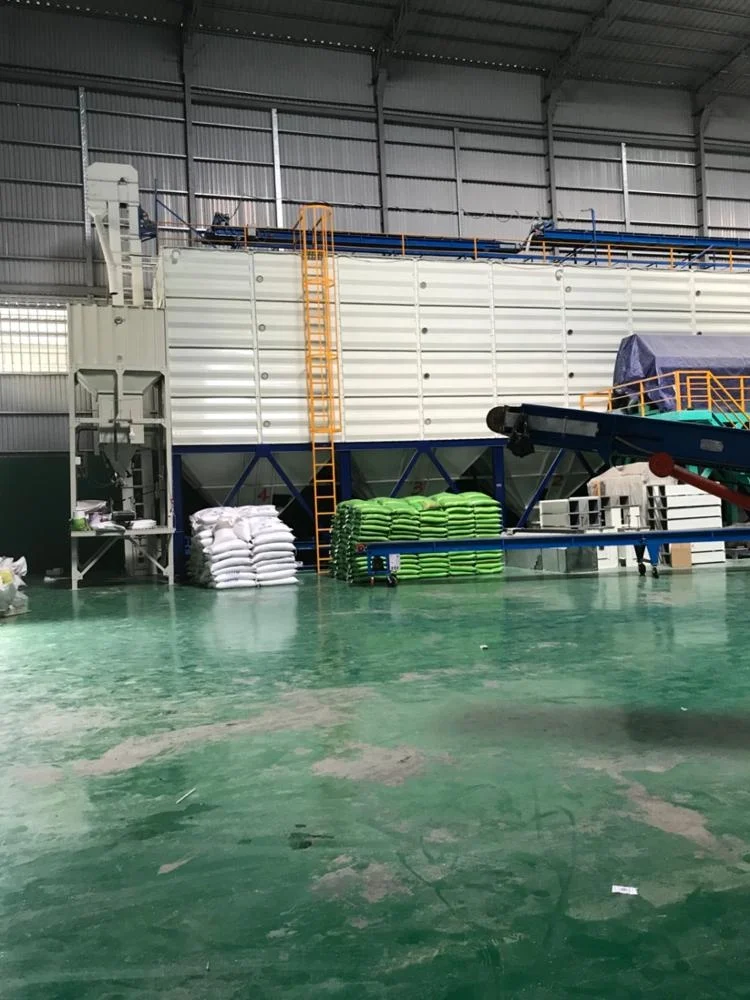 Среднезернистый белый рис 5% сломанный (BINH THUAN T41) ВЬЕТНАМСКИЙ РИС из Вьетнама высокое качество разумная цена