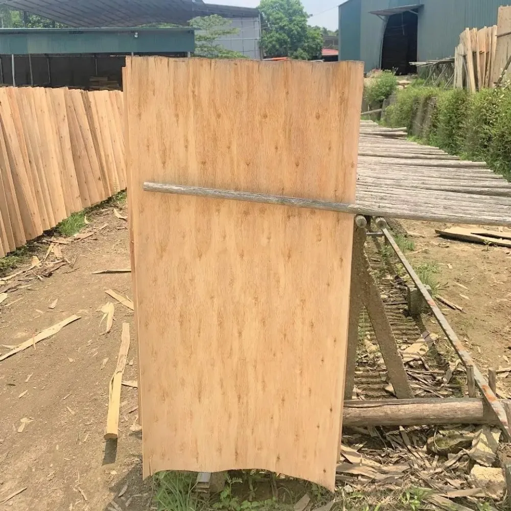 Eucalyptus /Acacia/Rubber Wood Core Veneer Raw Materials By Vietnam Supplier Global Export