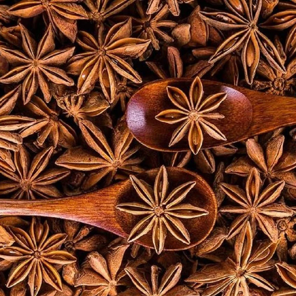 TUAN MINH company to supply single spice CARDAMON CHILLI FRESH FRUITS CASHEW NUTS  CASSIA CINNAMON to UAE market