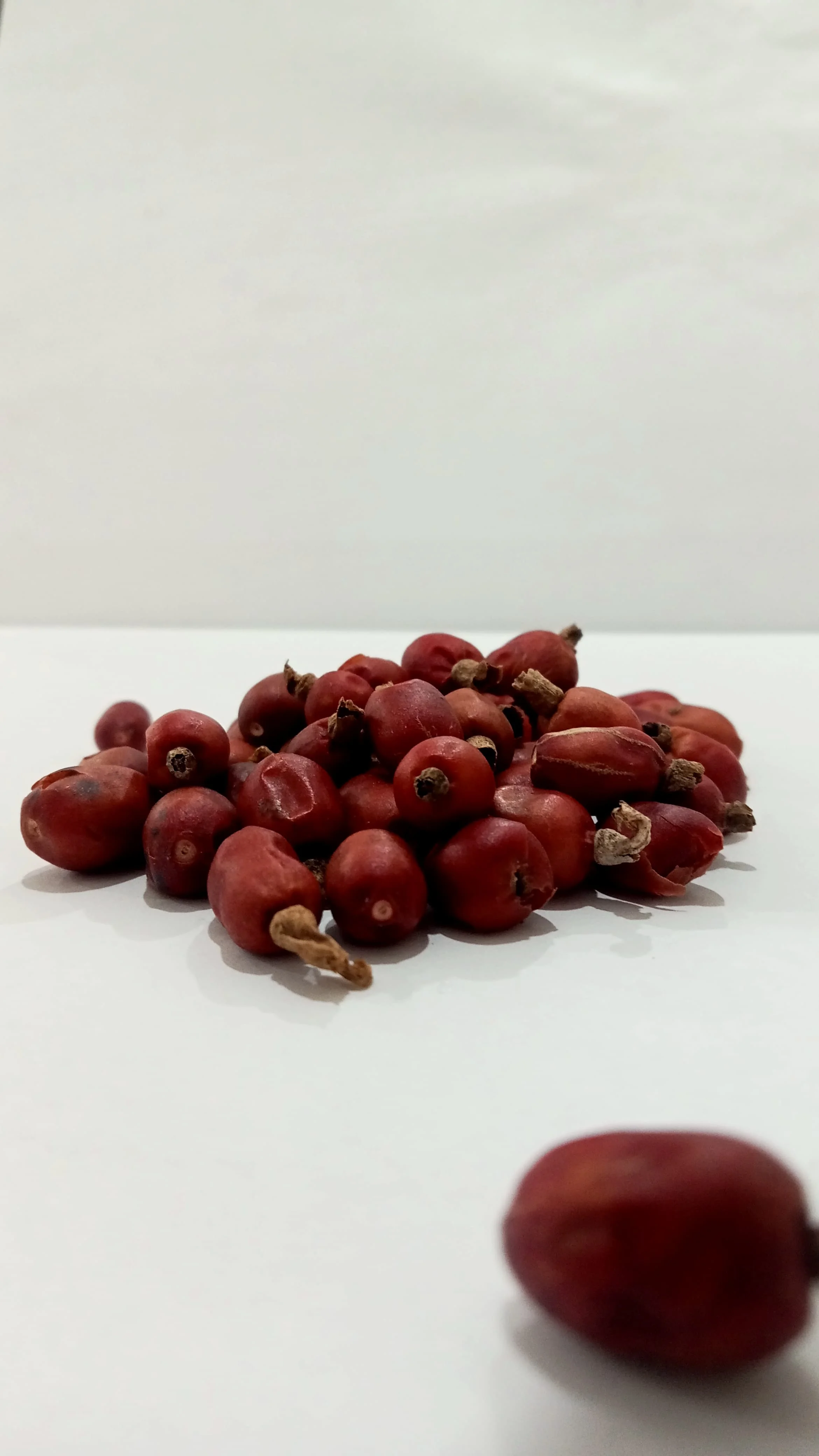 ALPINIA GALANGAL SEED