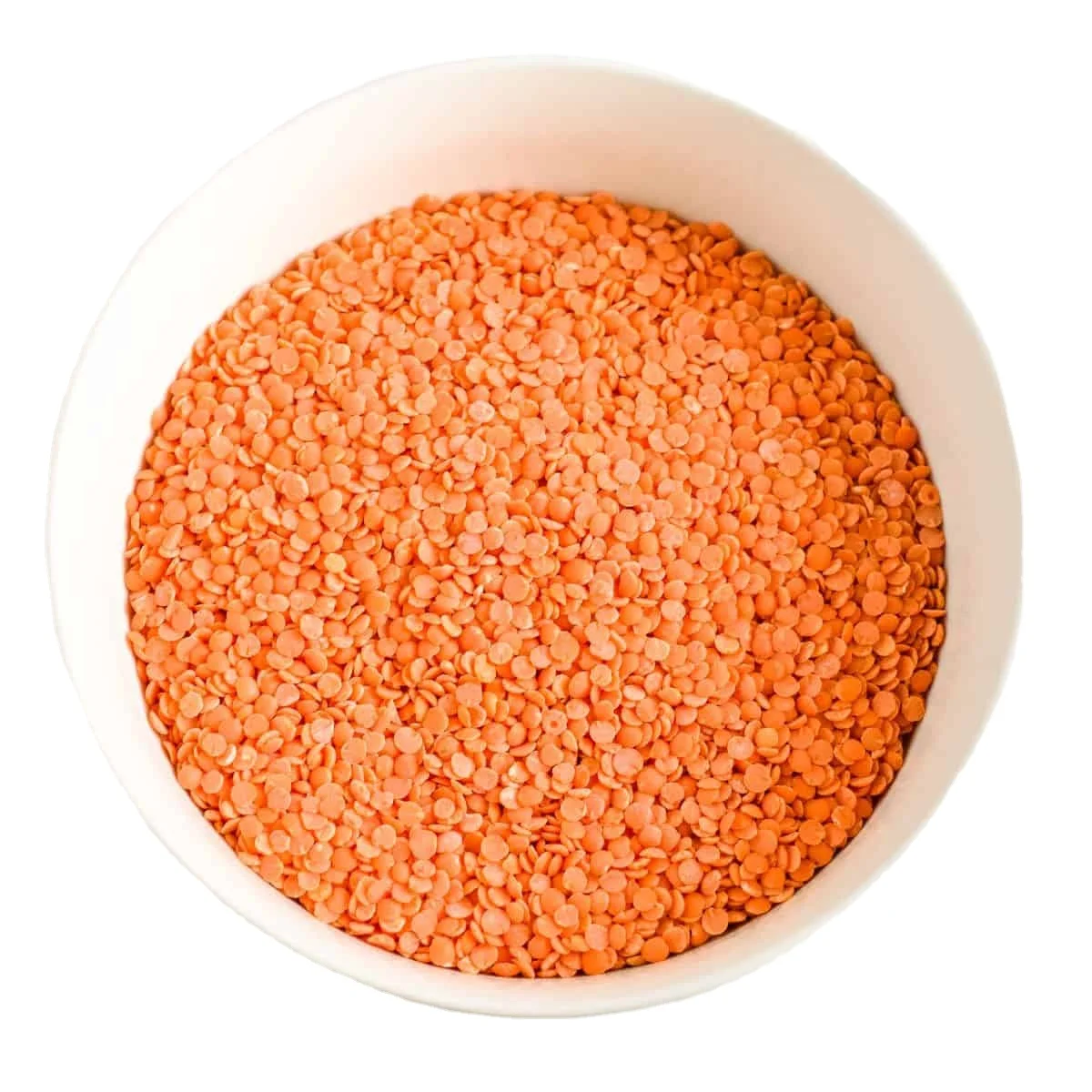 Organic Natural Red Lentils in Bulk High Quality Fresh Food for Healthy Meals and Delicious Recipes Price