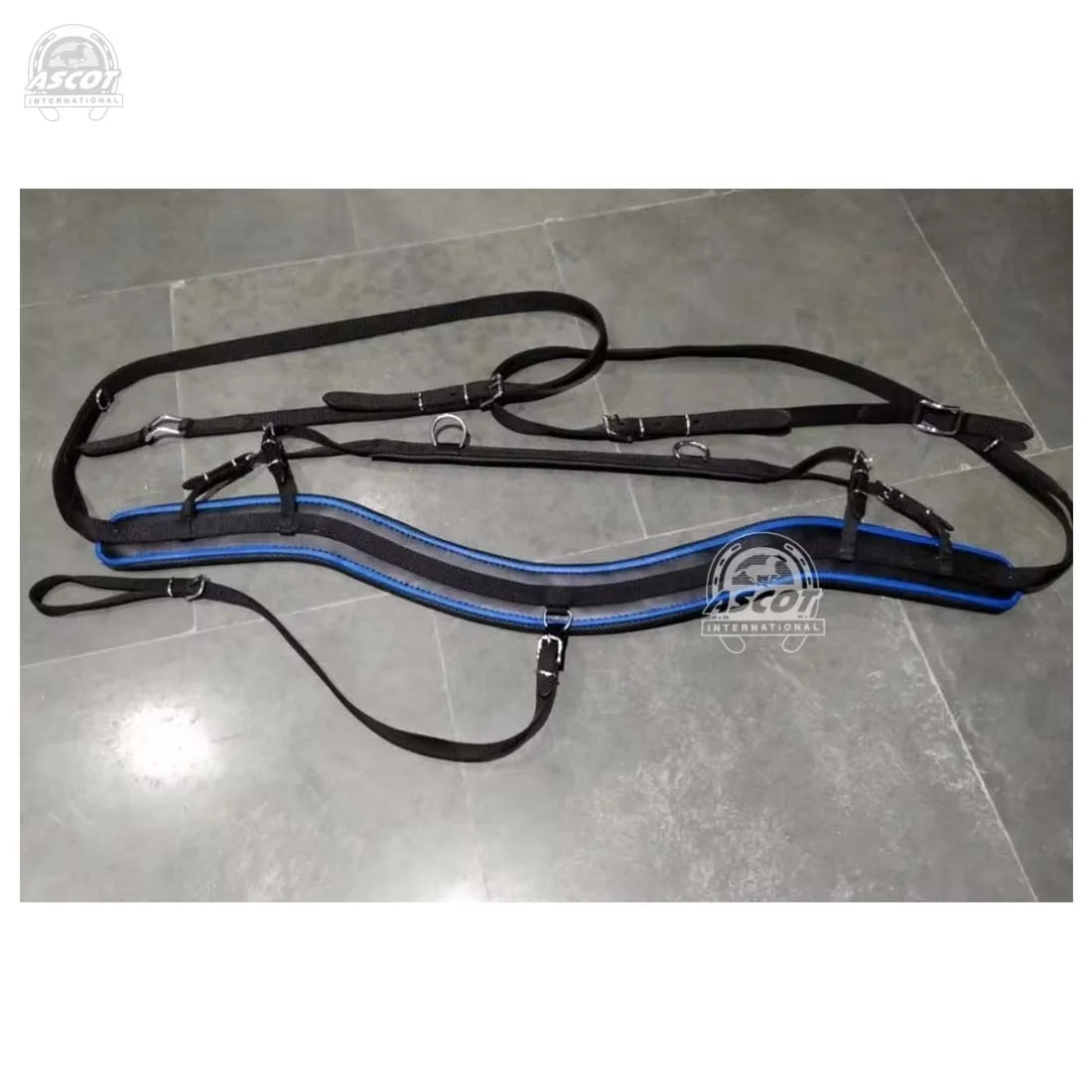 Wholesale premium polyester Horse racing Harness set durable with brass ss fittings top Indian supplier