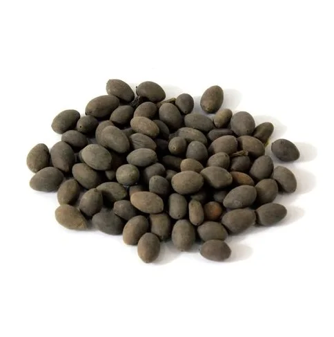 New season the cheapest price dried black  Lotus Seed Vietnam Organic high quality