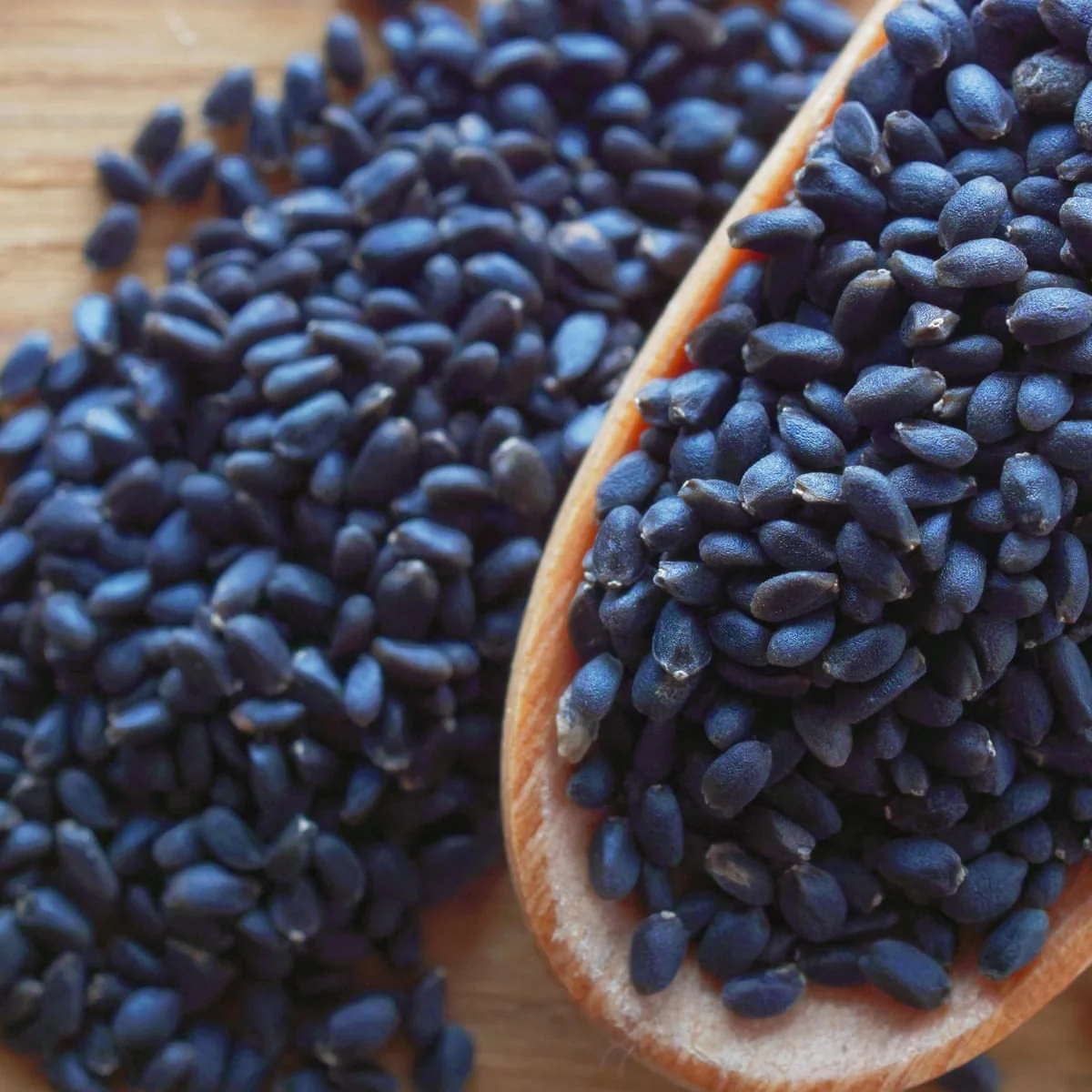 Natural aromatic sweet flavour exclusive basil dried holy basil leaves