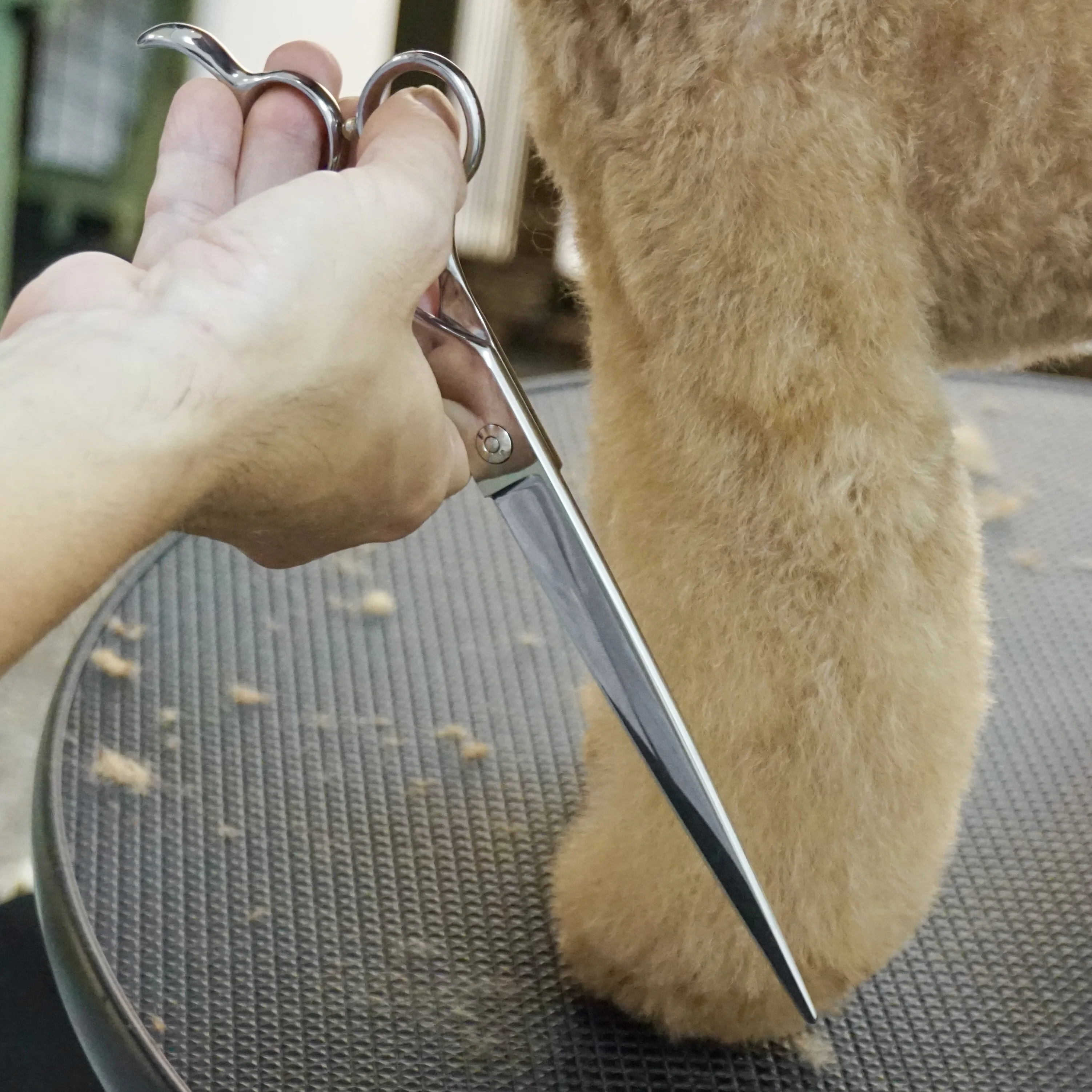 Dog Supplies 8.5 Inch Right Hand Sliver Offset Straight Scissors