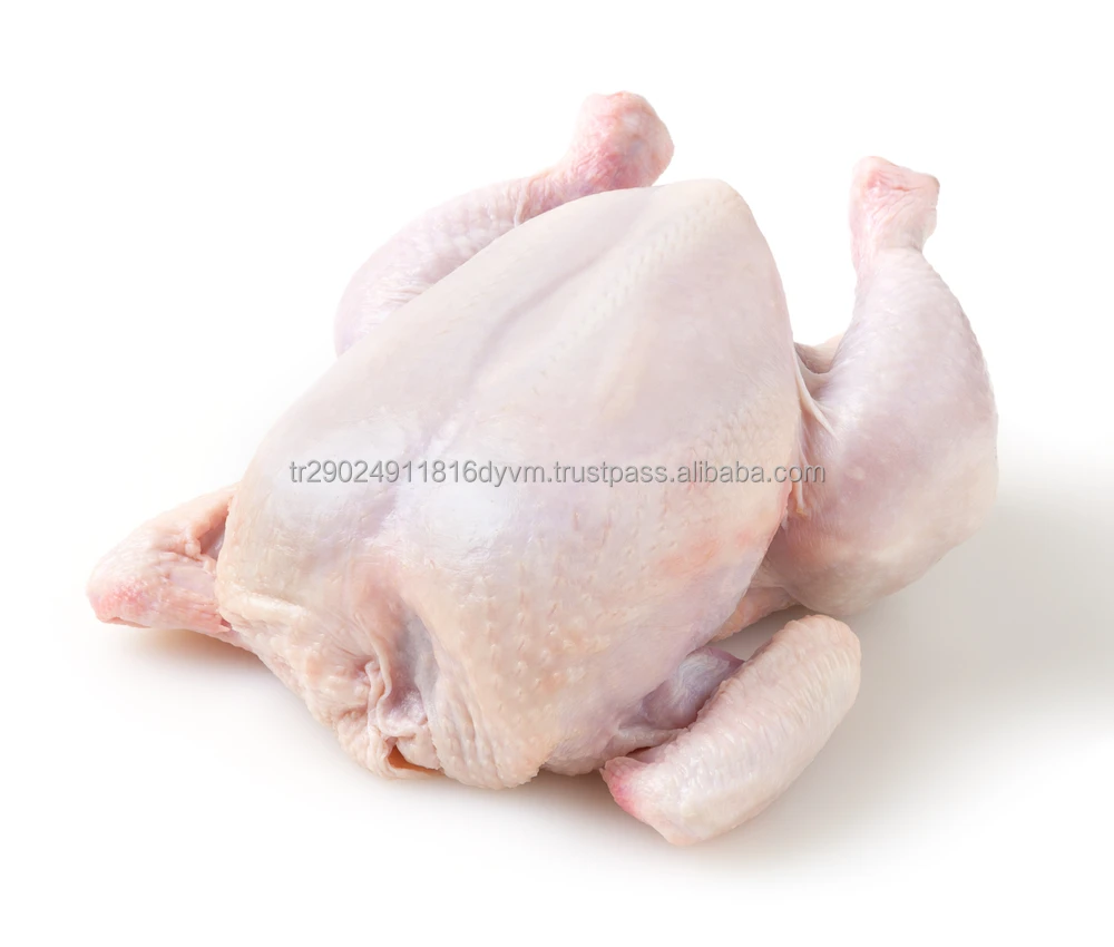High Quality Healthy And Natural Whole Chicken Halal Frozen Whole Chicken From Turkey Poultry Meat Chicken