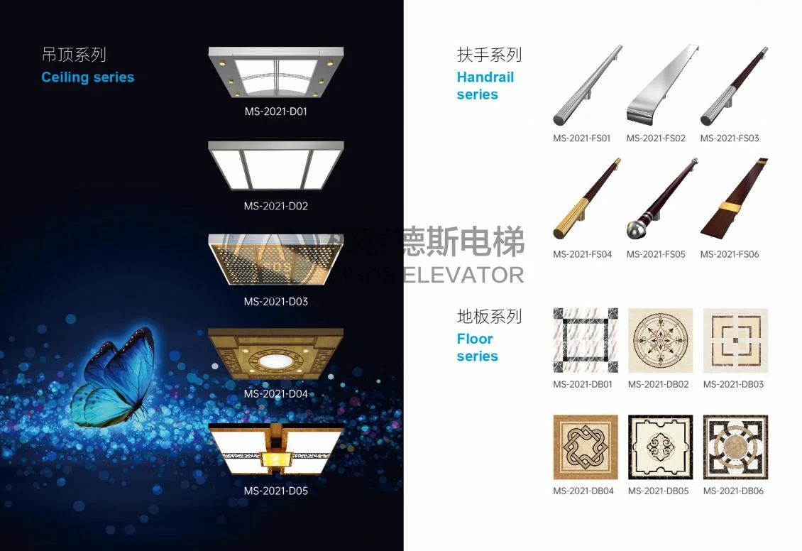 MSDS 630kg 800kg 1000kg Home Elevator Gearless Motor Residential Passenger Elevator