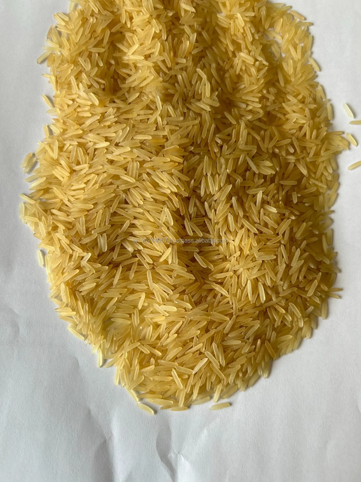 Medium Grain Indian Exporter Sharbati Golden Sella Rice 2023 for Cooking use Available at Best Price from India
