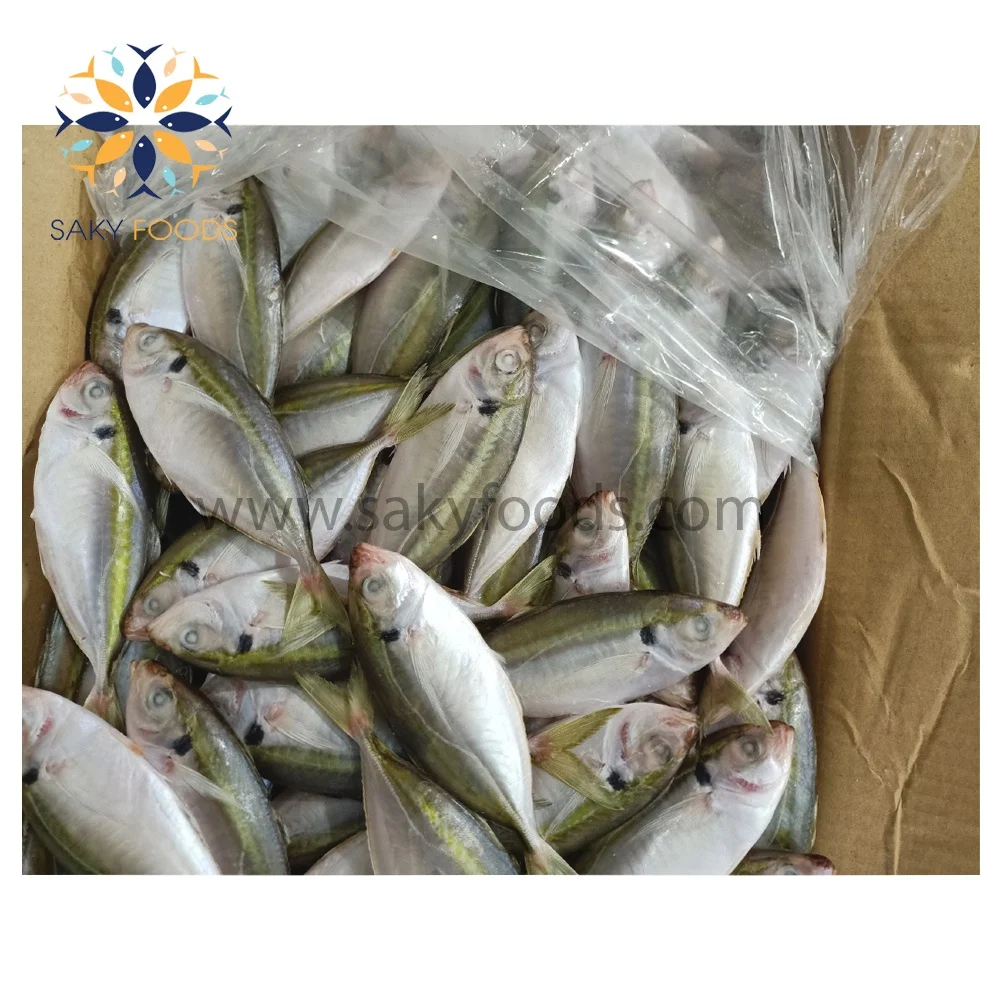 High Quality Seafood Frozen Yellow Stripe trevally fish sale good price