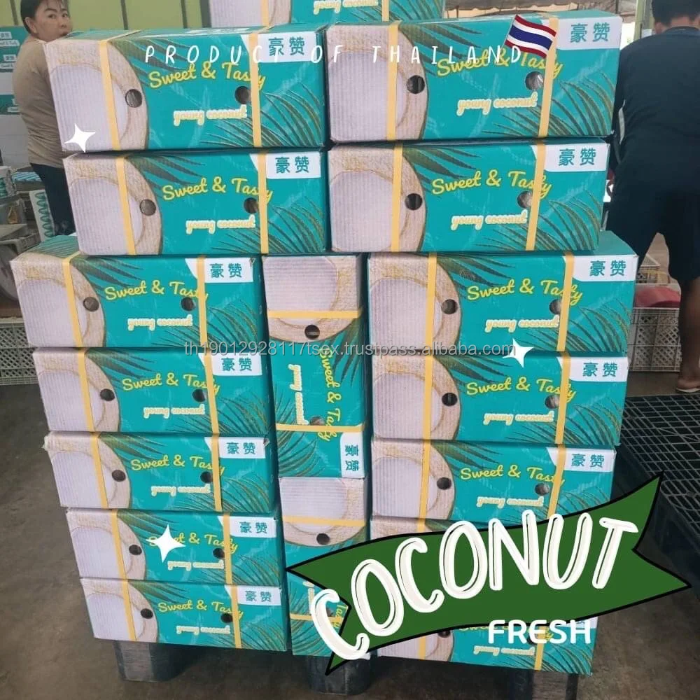 fresh Coconut fresh young coconut thailand coconut bowl