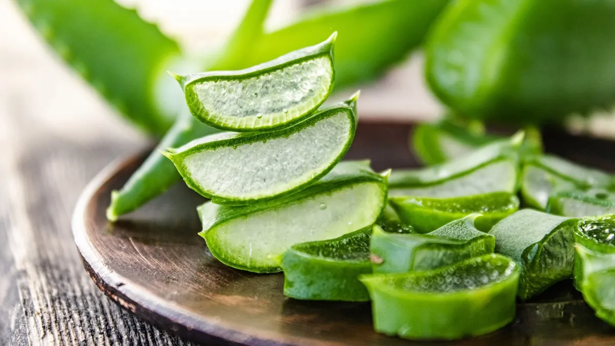Premium Aloe Vera Cube/ Aloe Vera Jelly for Drink with Cheap Price From Viet Nam/ Natural Flavor High Quality