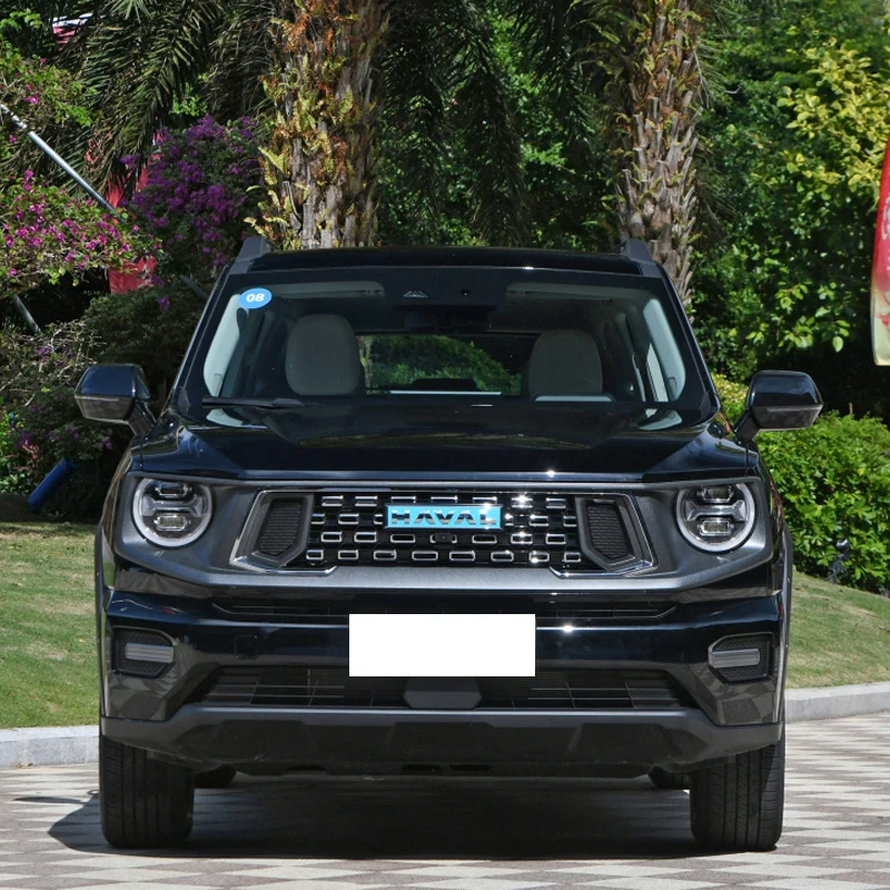 Haval GWM Gasoline Vehicles Wholesales Haval Cars Haval Dargo H6 H9 For Sale