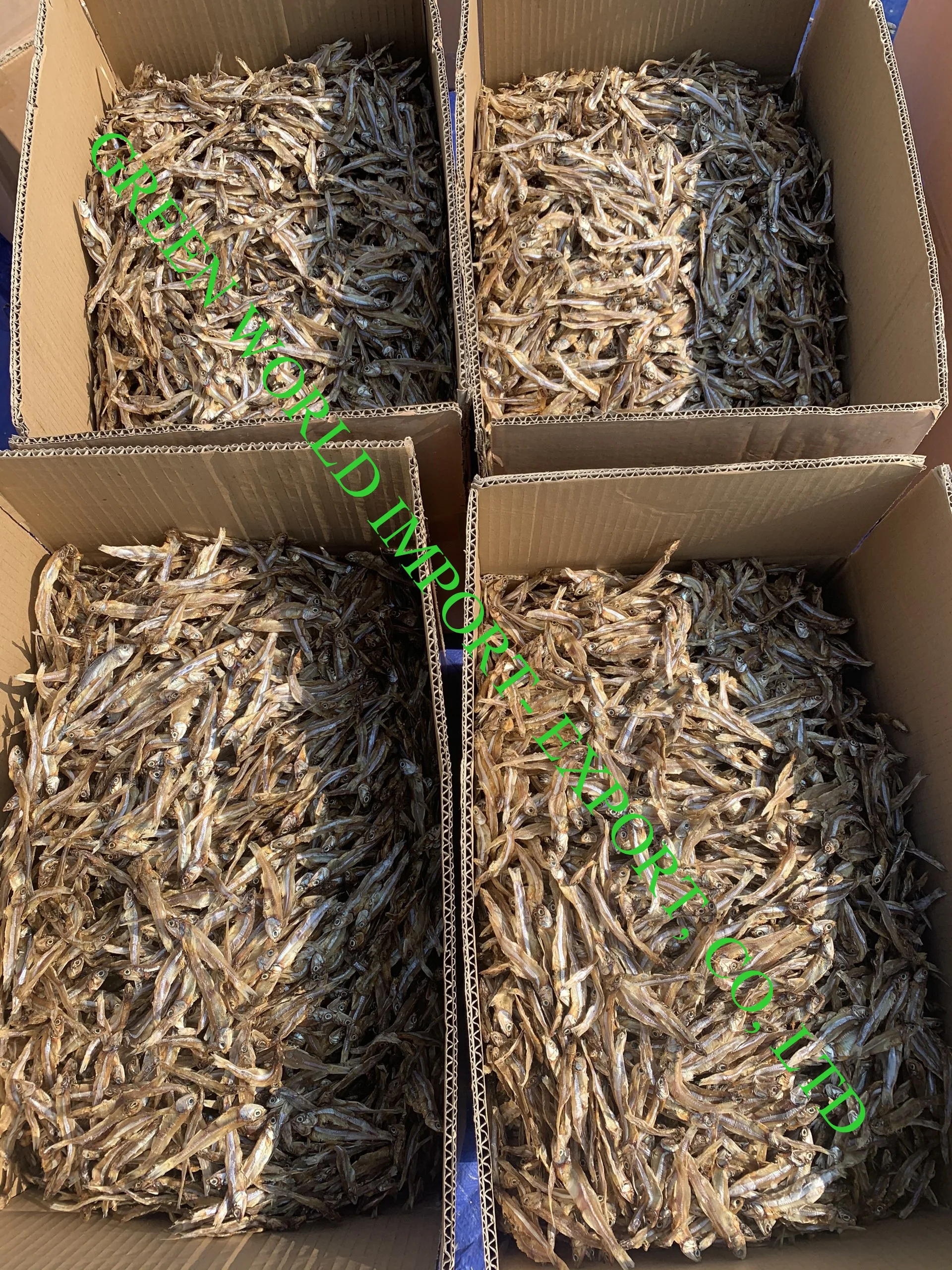 THE BEST OFFER FOR DRIED ANCHOVY WITH HIGH QUALITY - 100% DRIED BY SUN - HOT DEAL IN THIS SEASON