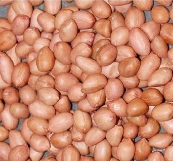 pink skin groundnut java 60 70 count best buy offer super fine peanut