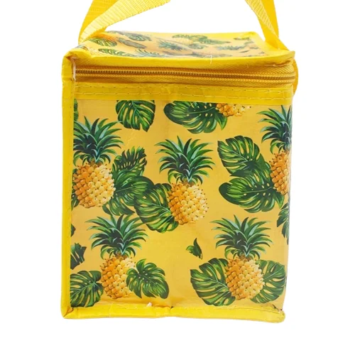 Colorful Customize Design Insulated PP Non Woven Outdoor Food Delivery Cooler Bag with Zipper Waterproof High Quality