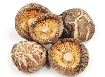 Organic Dried Shiitake Mushroom Dried Food High Quality Shiitake Mushroom Wholesale Price For Taiwan buyer