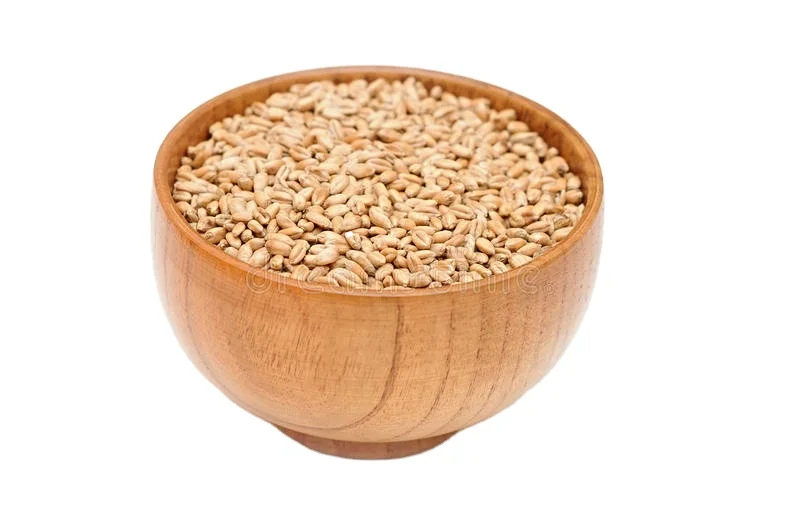 Wheat for Sale / Wheat Price Milling Wheat Sorted Quality