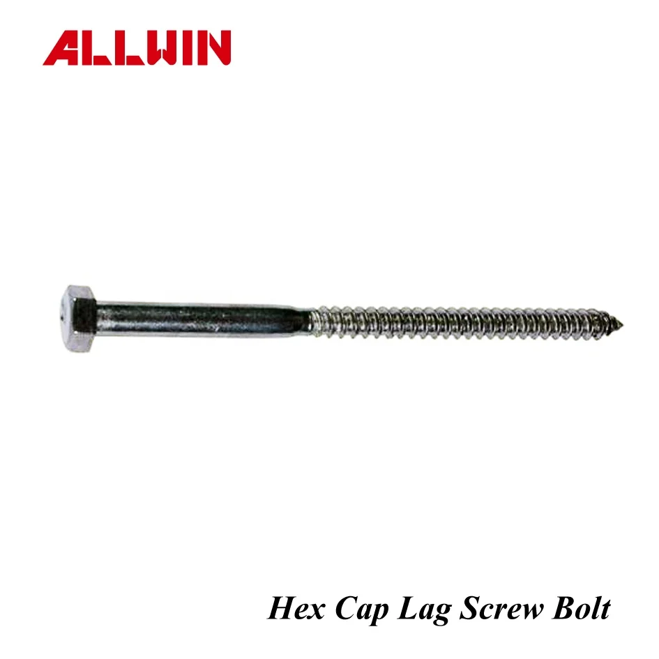 304 or 316 Stainless Steel U Screw Bolt