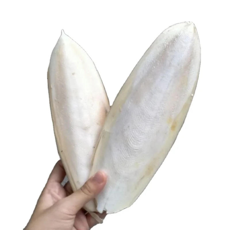 Натуральная сушеная косточка шлепанцы для ПЭТ конкурентоспособная цена от производителя