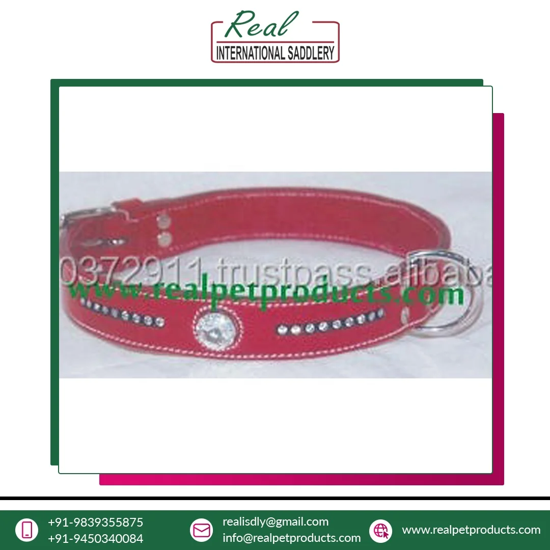 Best Quality Personalized leather dog collar with stainless steel dog chain collar at best price