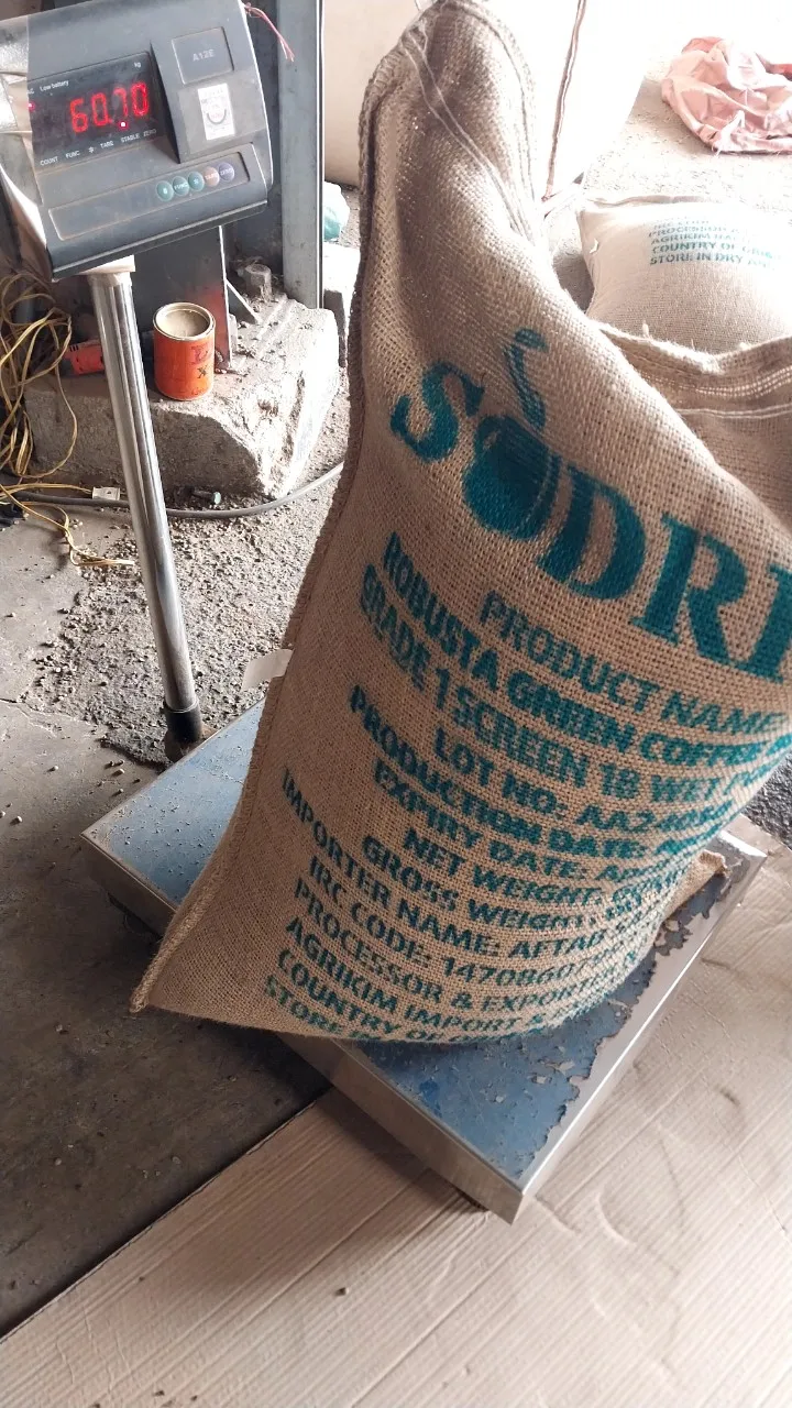 Green Coffee Bean 60kg Jute Bag Grade1 Coffee Screen 16 Wet Polished From Vietnam Customized Packaging Fast Delivery