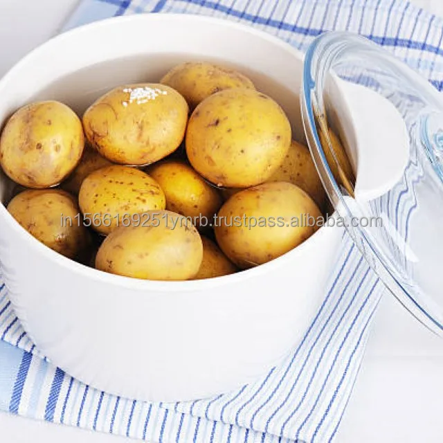 Best Fresh potato price per ton For Wholesale Buy High quality 100% Organic
