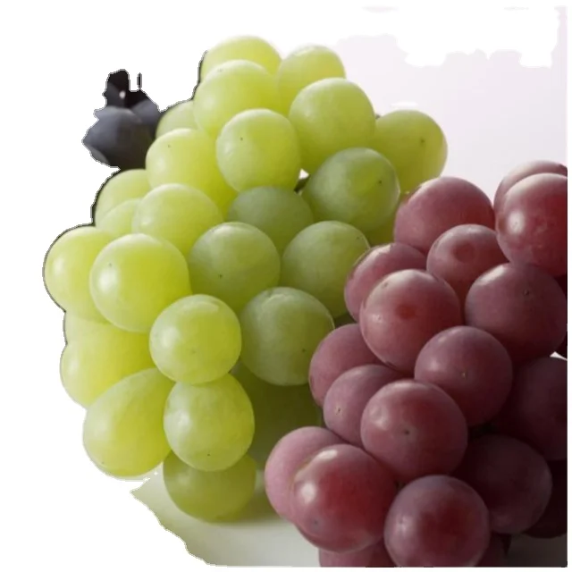 Без саженцев свежий виноград в наличии высокое качество и 100% экспорт свежих фруктов красный без