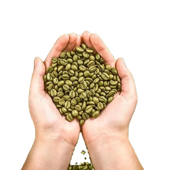 (Бесплатный образец) Arabica Robusta конкурентоспособная цена 2025 урожай сельскохозяйственная зеленый кофе в зернах упакованный объемный мешок 60 кг