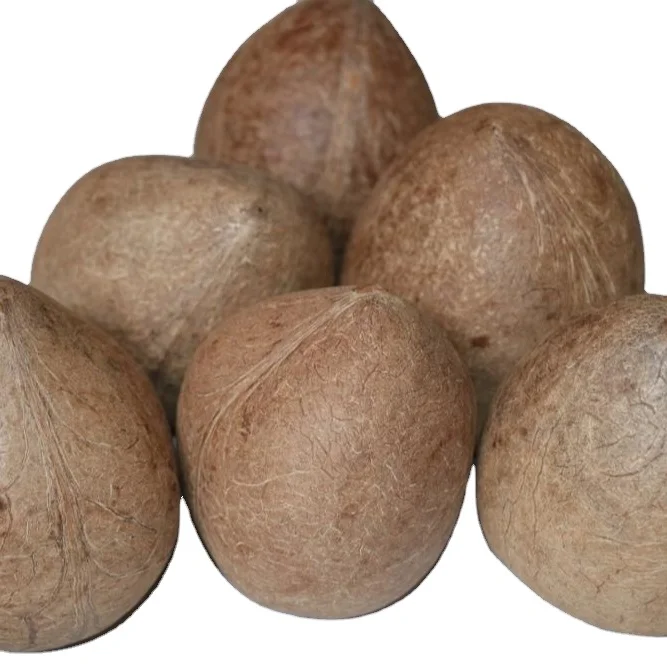 INDIAN COCONUT COPRA EXPORTERS OR SUPPLIERS