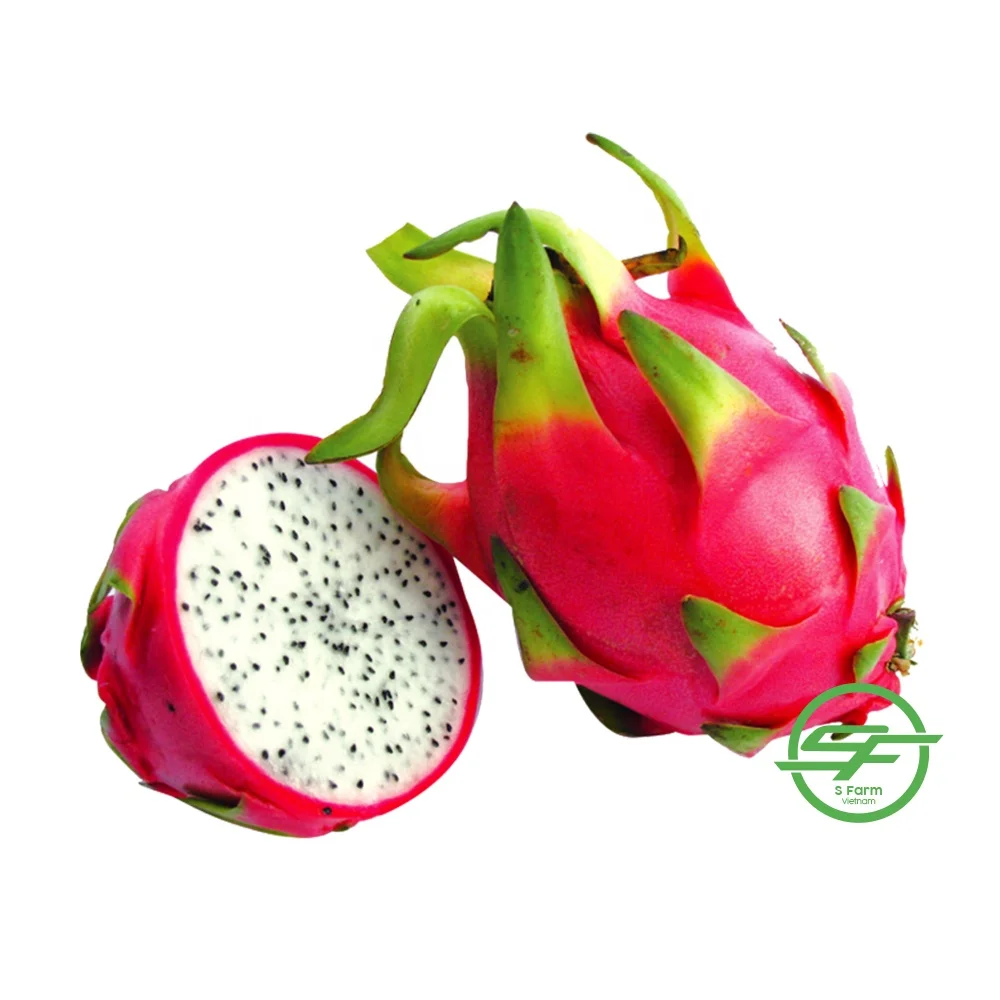 Fresh Sweet Dragon fruit Hot Selling Vietnam Export