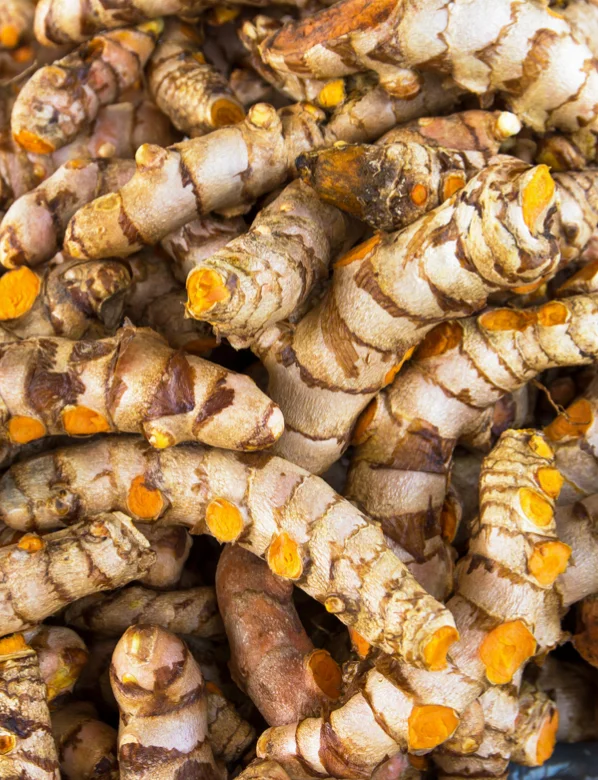 Dried Turmeric (1,000 gram) Dehydrated Thai Herbal - Wholesale - custom size package & design (Product of Thailand)