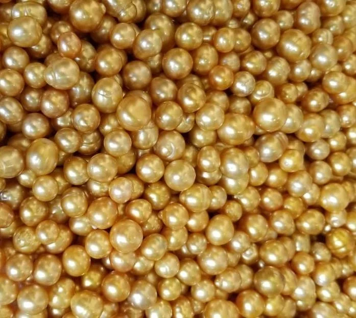 
LOOSE DROP SHAPE SALTWATER SEAWATER SOUTH SEA PEARL 