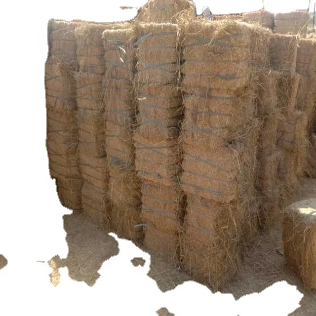 High Quality Pakistani Moisture Controlled Coriander Hay for Sale in Bulk Quantity