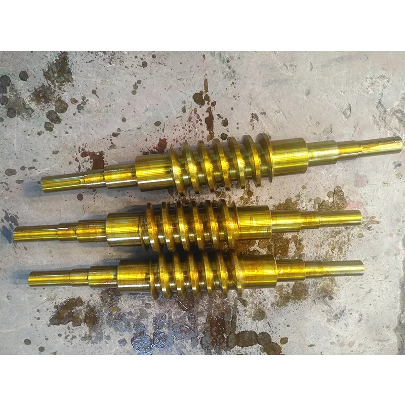 Steel Large Forging Transmission Long Worm Gear Shaft