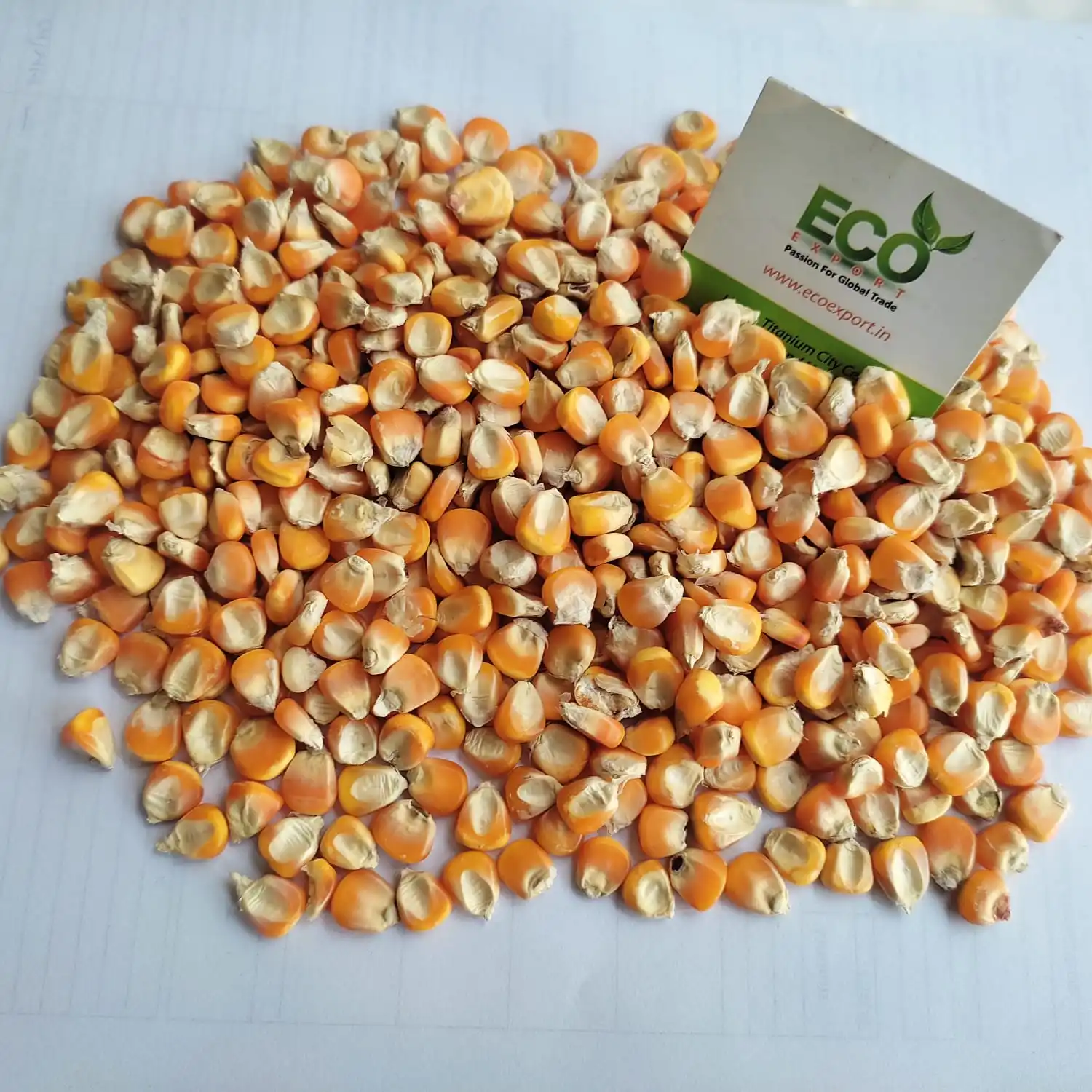 Rich Quality Yellow Corn Supplier