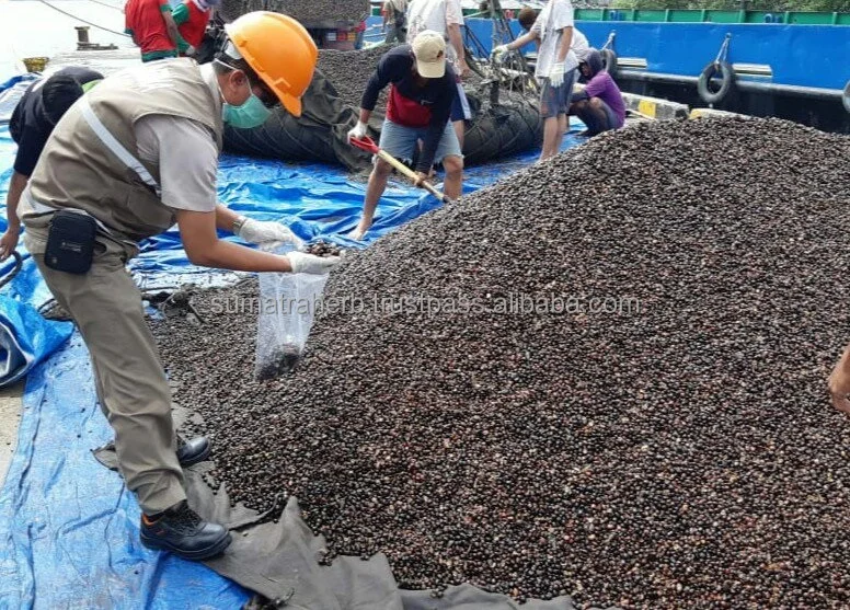 High Quality Palm Kernel With Reasonable Price Origin Indonesia