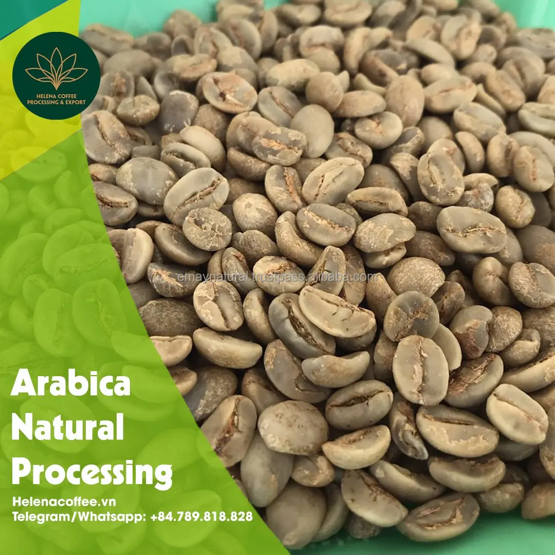Высококачественный кофейный Арабика из цельных зерен-натуральный процесс SCR18 Класс 1 - Whatsapp + 84789818828