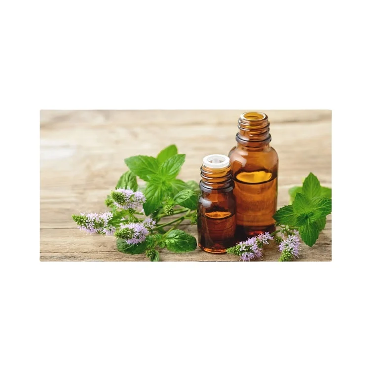 Private Label Manufacturer Peppermint Oil Bulk Wholesale 100% Pure Organic Cold Pressed Essential For Fragrance & Soap Making