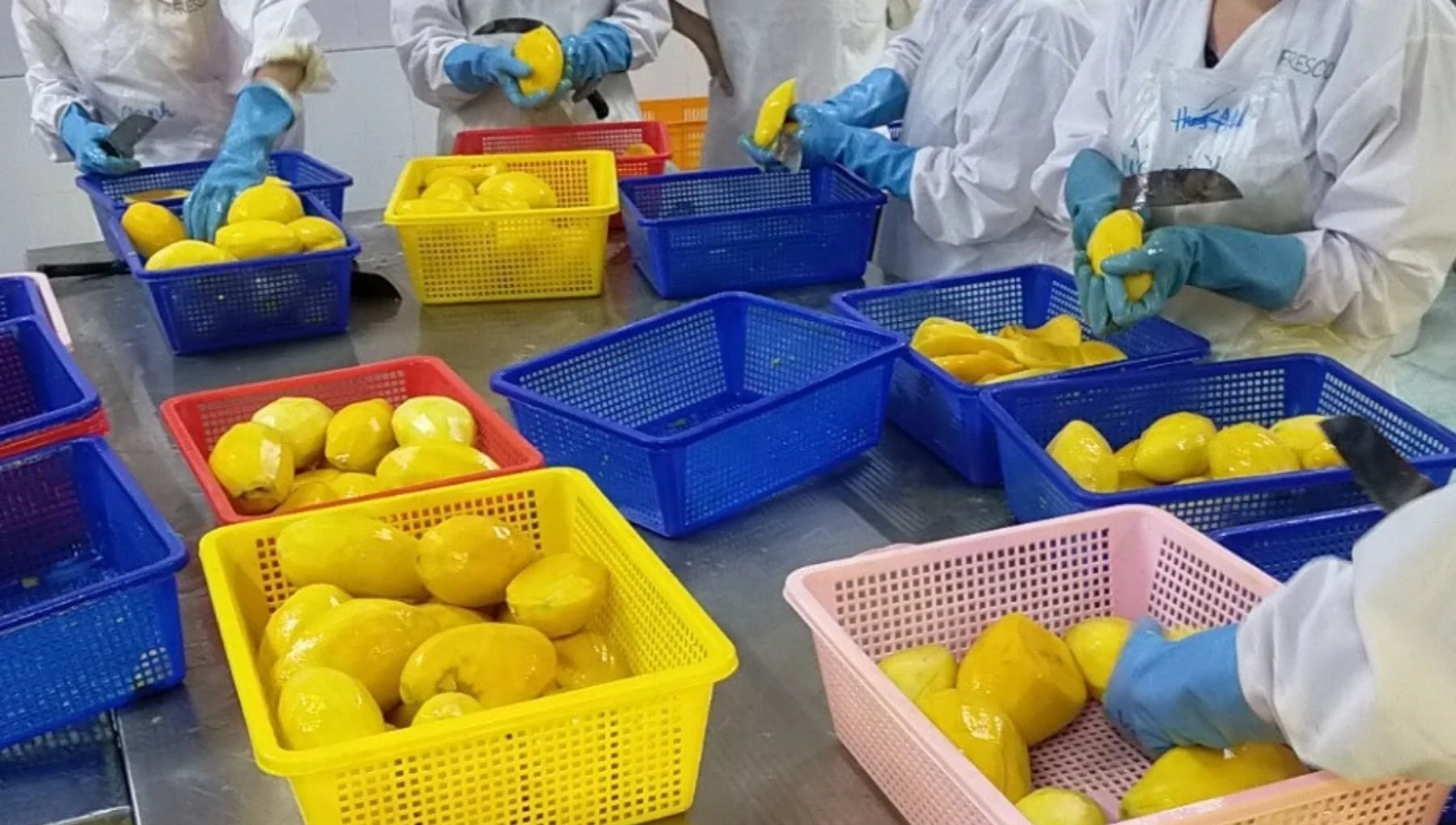 Vietnam Factory IQF Mango Fruit Stick Frozen Mango With 1kg  Per Bag Packaging