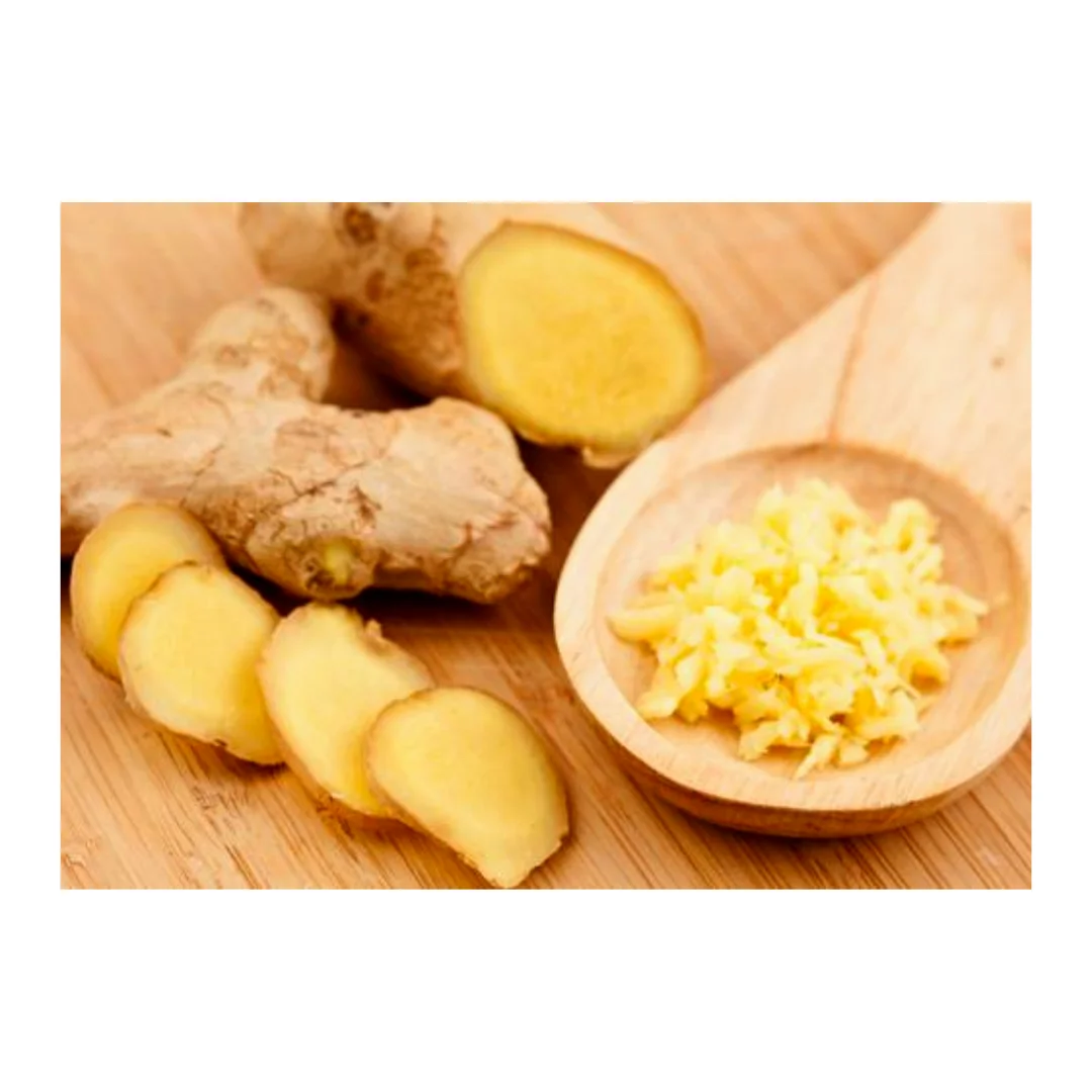 Newest Harvet High Quality Natural Flavor Fresh Or Frozen Ginger Deliciously With Wholesaler Price