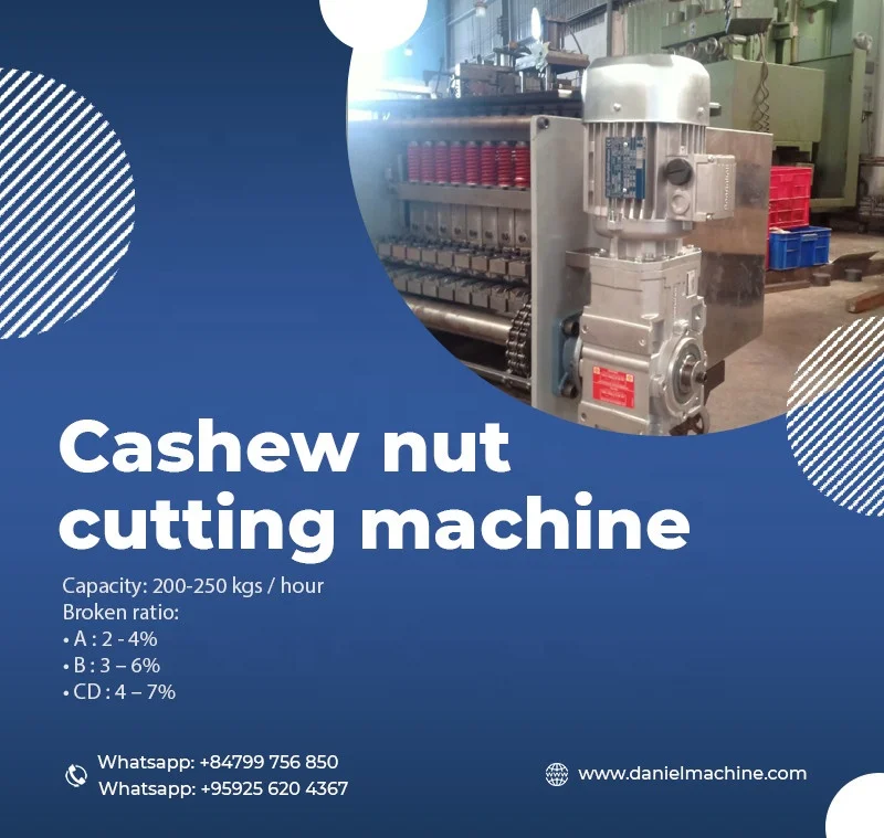 THE BEST CASHEW NUT SHELLING MADE IN VIETNAM