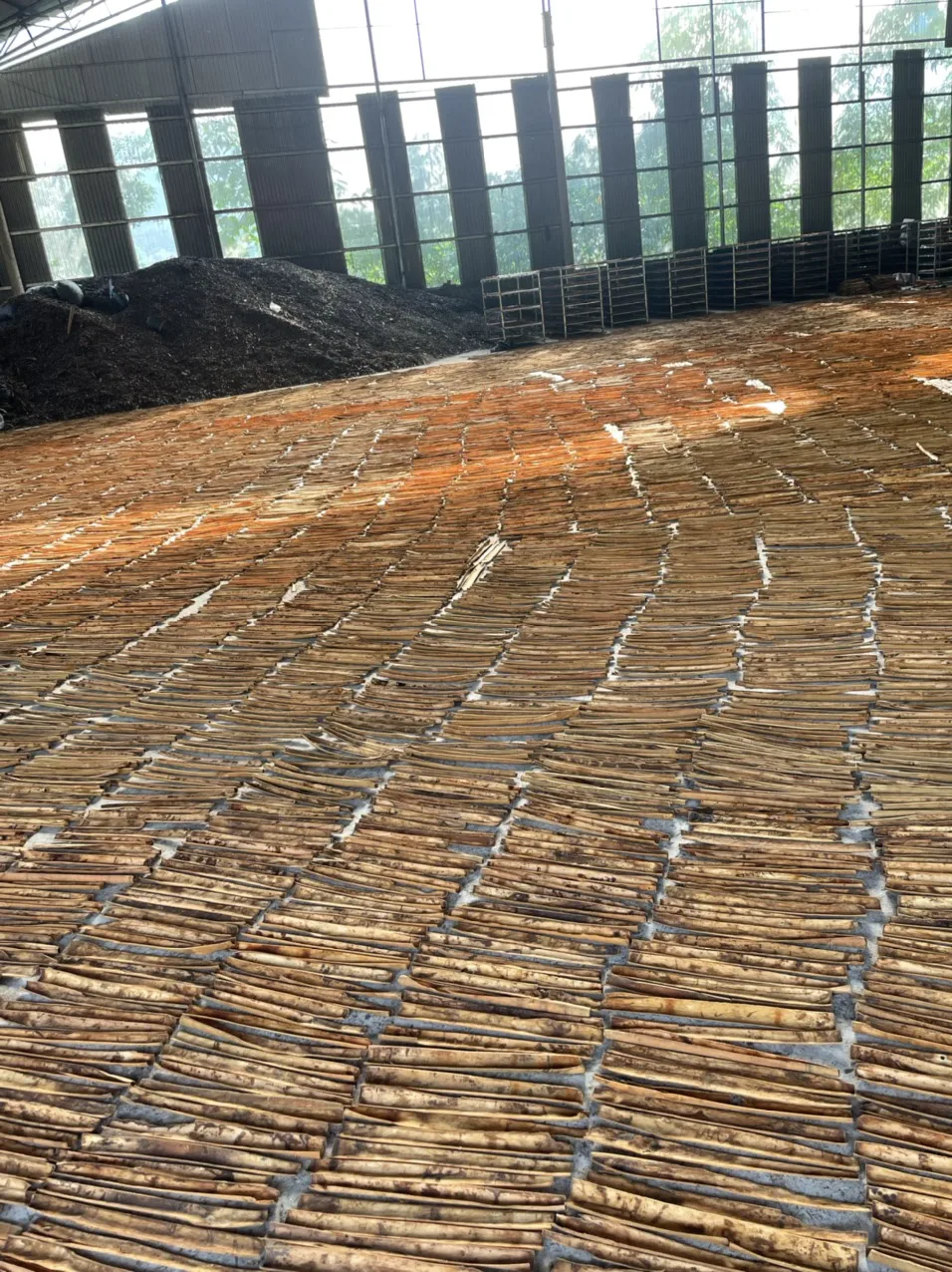 10kg Carton Packing Cinnamon Cassia Herbs Tube Cigarette 10cm Spices Origin Vietnam For Export - JANE LEE +84968234538