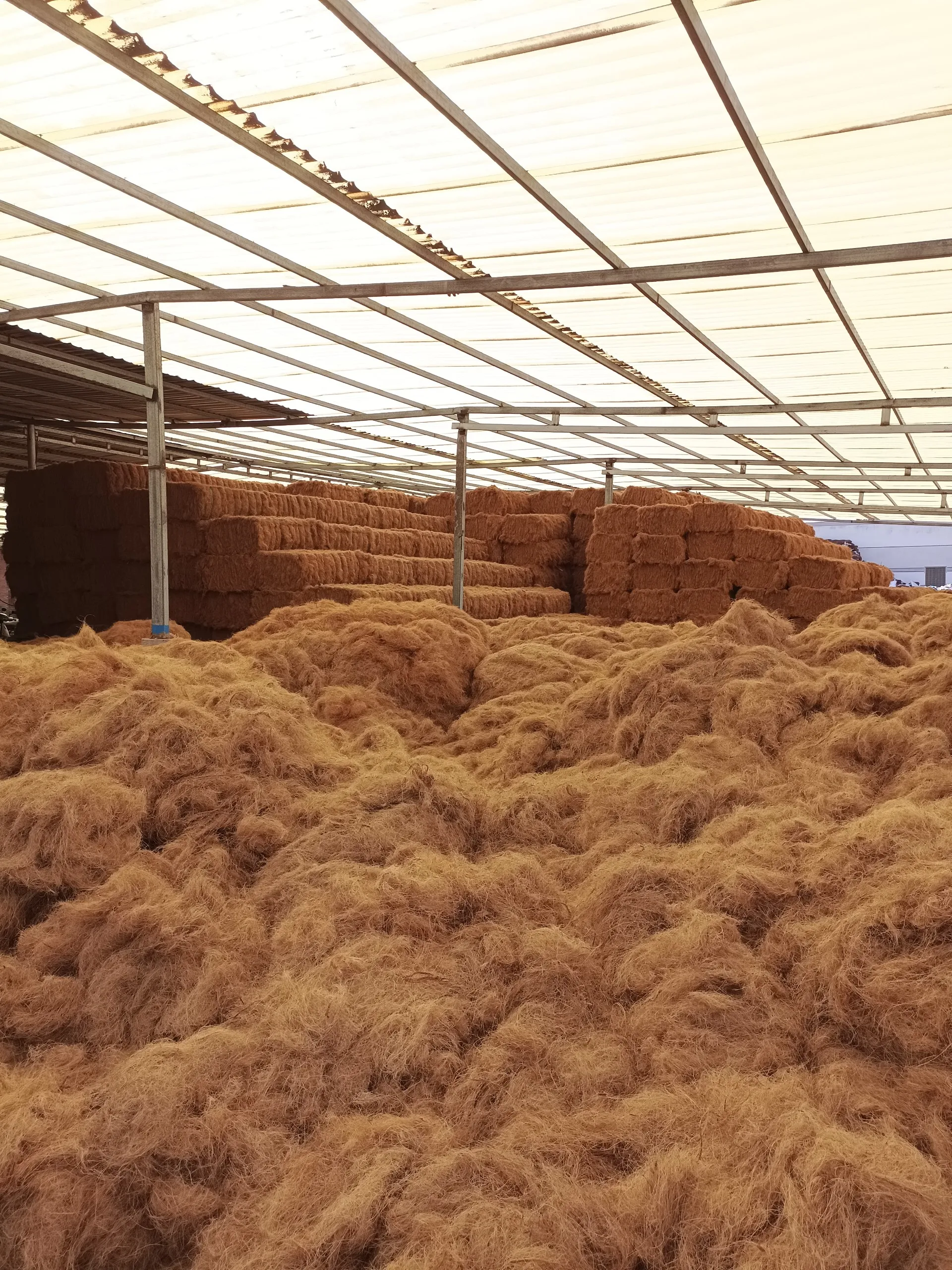 Wholesales Export Coconut Fiber To Shanghai 100% Natural for mattress production Best quality Brownish yellow made in Viet Nam