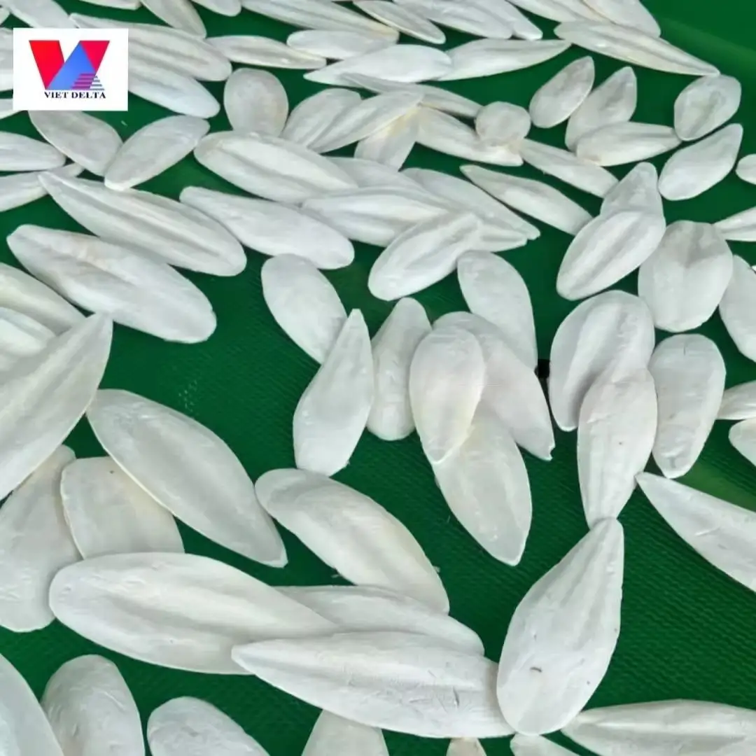 Wholesale Dried Cuttlefish Bones- Fish Bones for Pets Hermit Crabs Reptiles- 100% Natural Squid Bones for Parrots from Vietnam