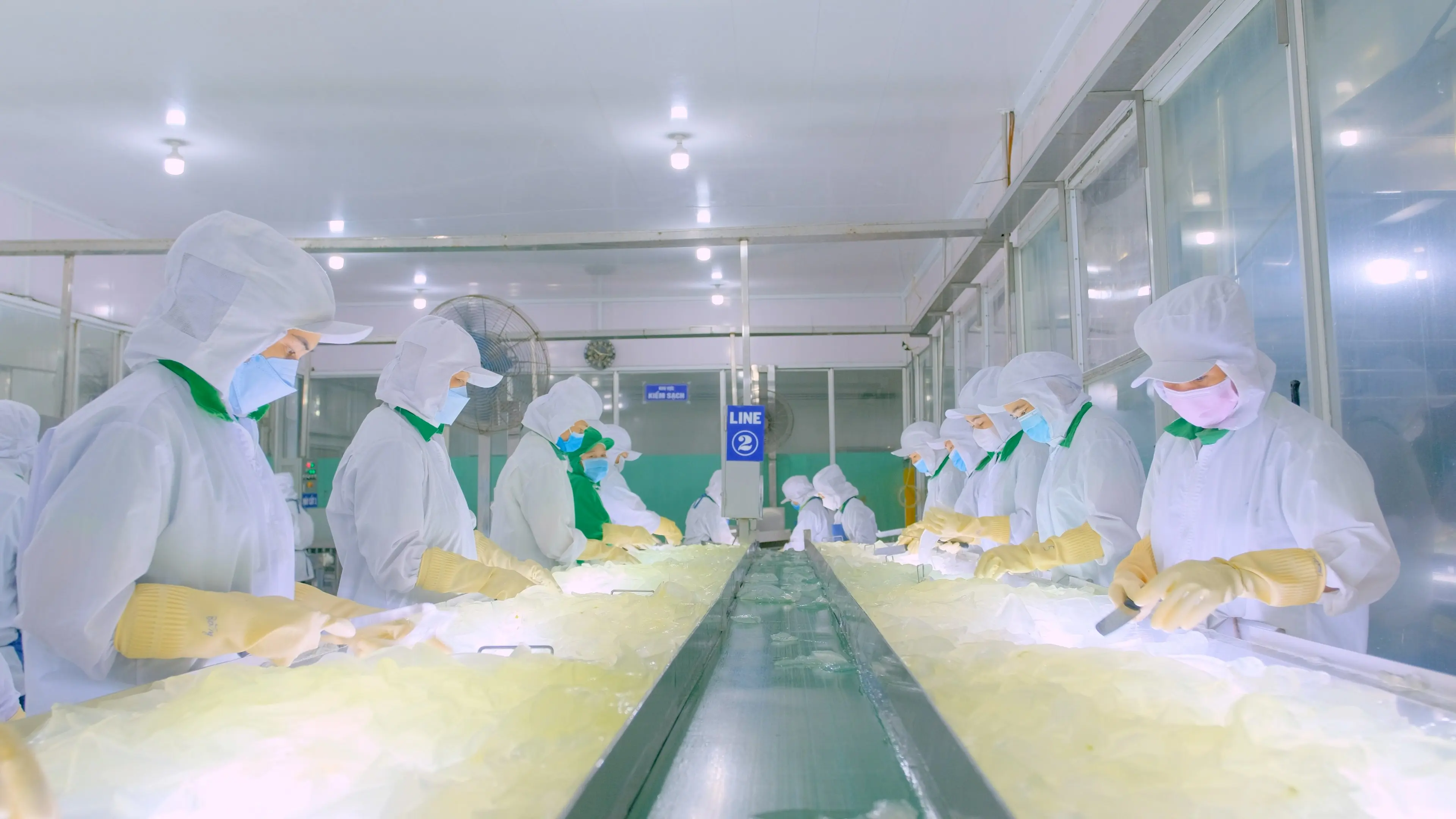 490ml bottle VINUT Fresh Aloe vera water Original Vietnam Suppliers Directory Aloe vera drink Aloe Juice