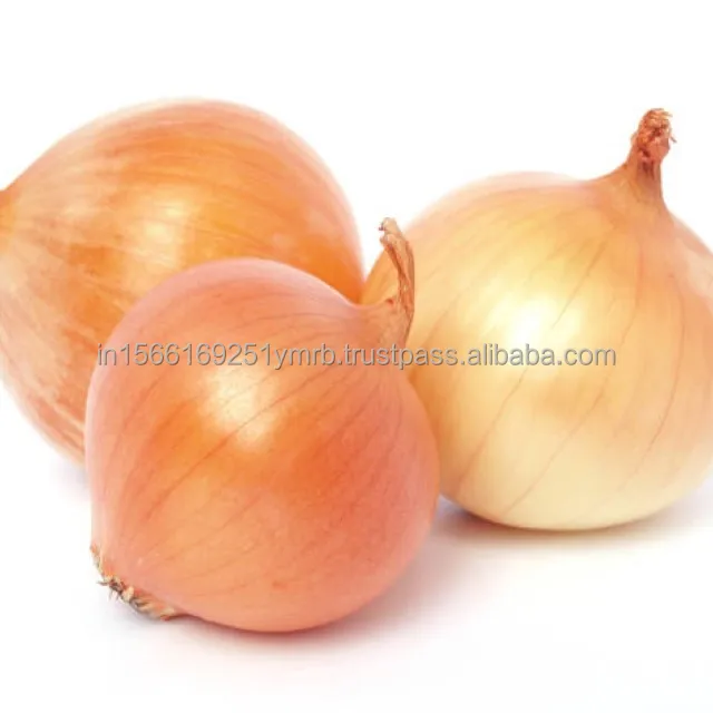 High Quality Yellow Onion Price Ton On Fresh PEELED Red Onions By Onion Suppliers