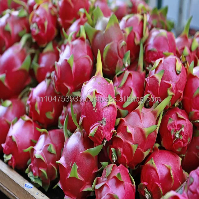  Экспорт свежих фруктов дракона в Индии