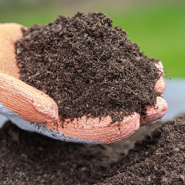 COCO PEAT FOR TOMOTTO GROWERS